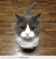 Sebastian