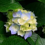 blue_skyesss