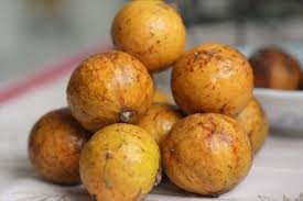 Sấu Dầm