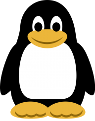 penguin2906