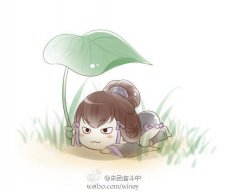 _yin_