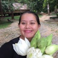KingKongMapU