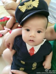 gấu ngủ đông