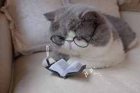 Lê Thị Ngọc Huyền