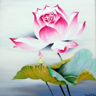 Thủy Phù Dung