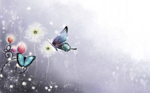 Lovelight