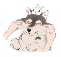 wrivsel