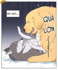 Cá bơi ngửa
