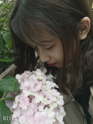 Hằng Mentori