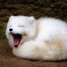 huwowng.ph