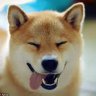 thuy123