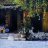 thao1997