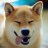 thuy123